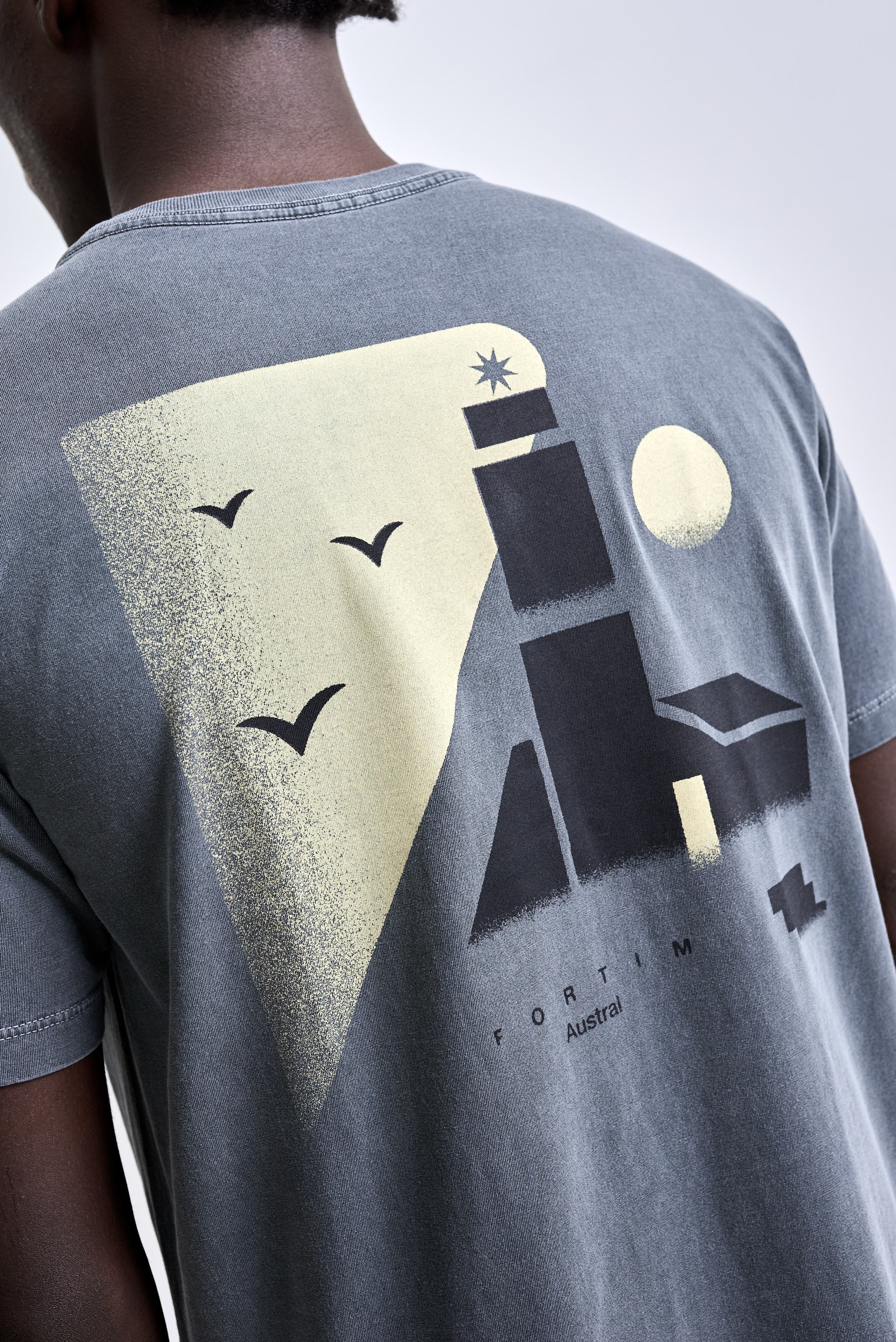 Camiseta Fortim Stone Cinza Old