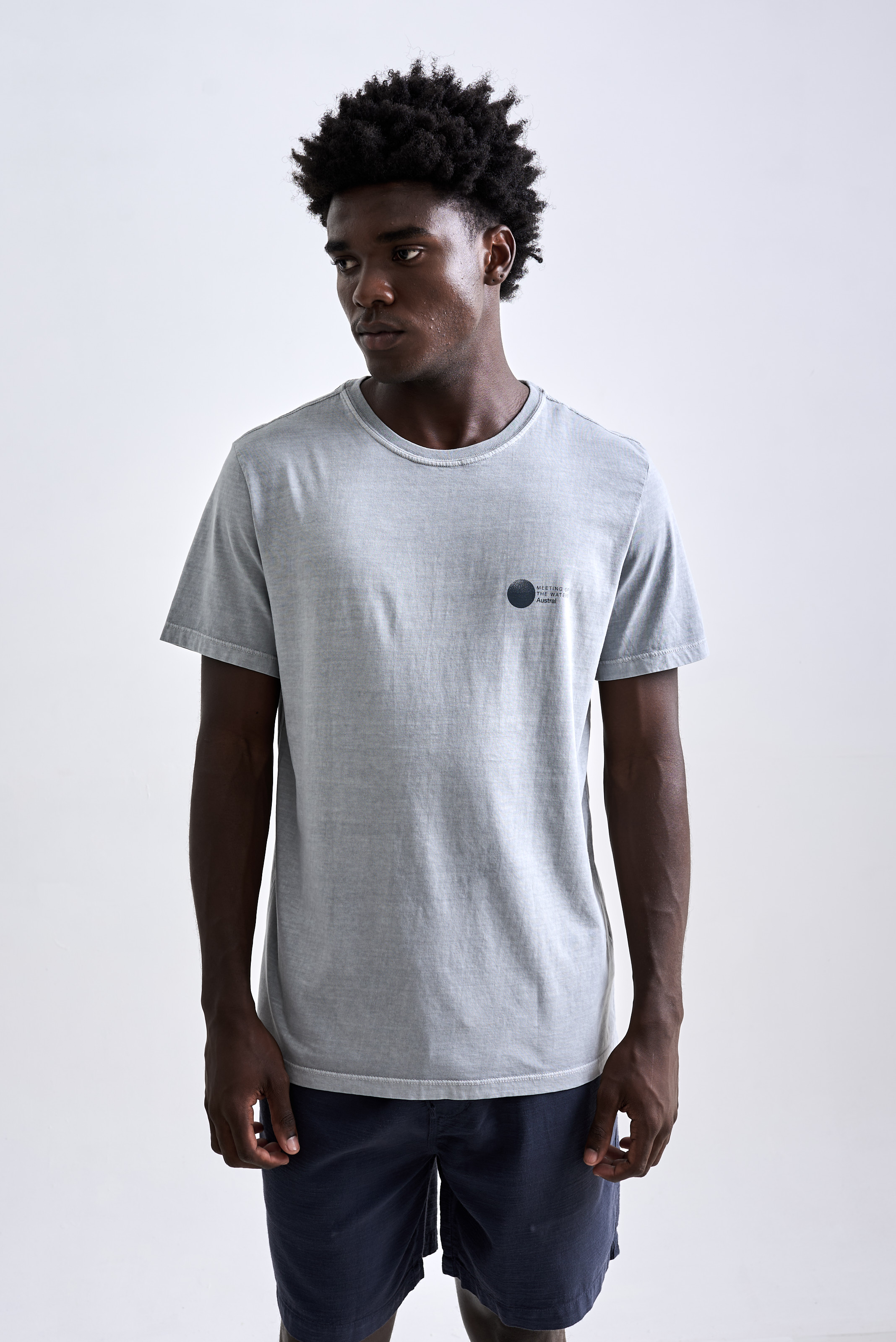 Camiseta Meet Stone Cinza Claro | Austral