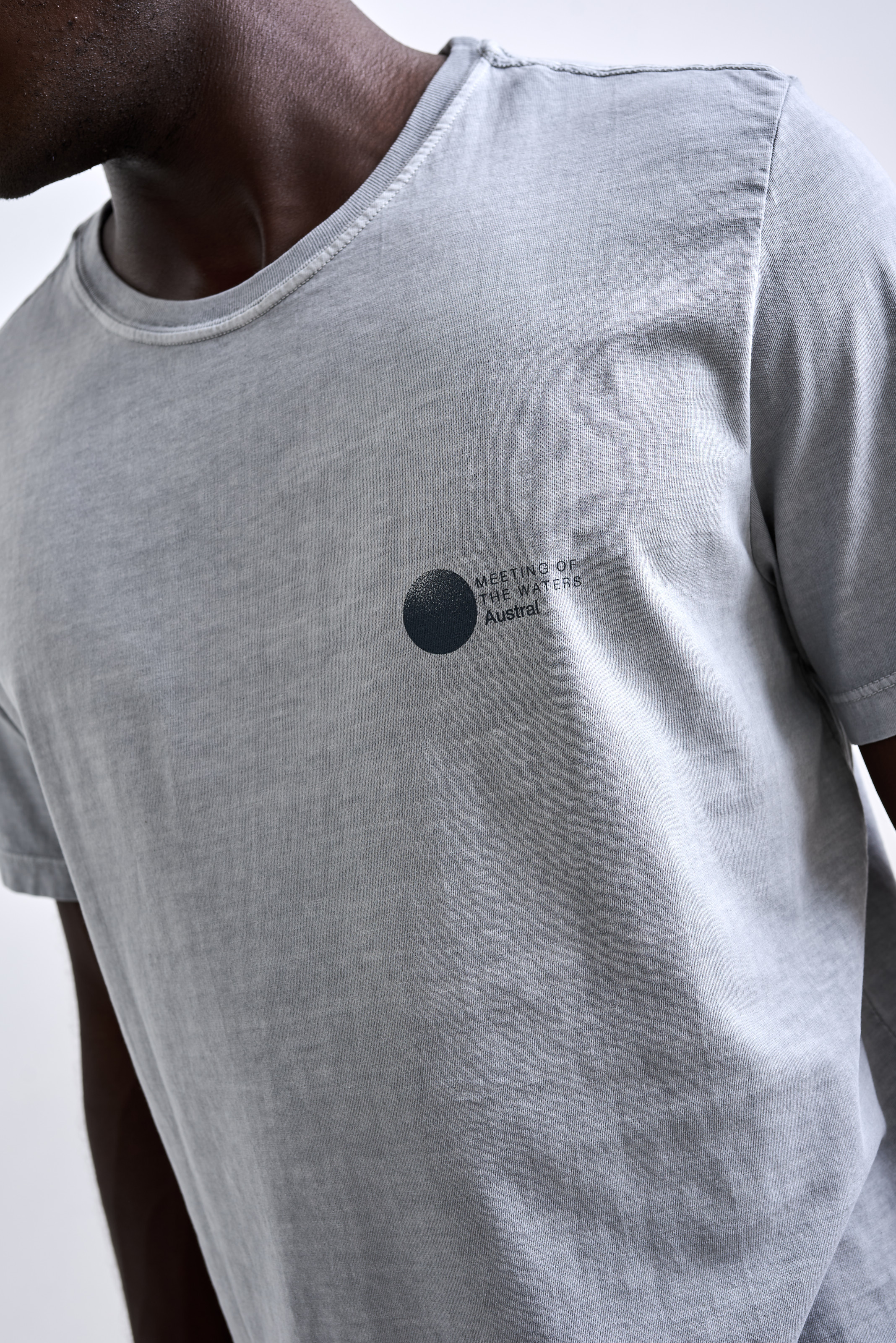 Camiseta Meet Stone Cinza Claro | Austral